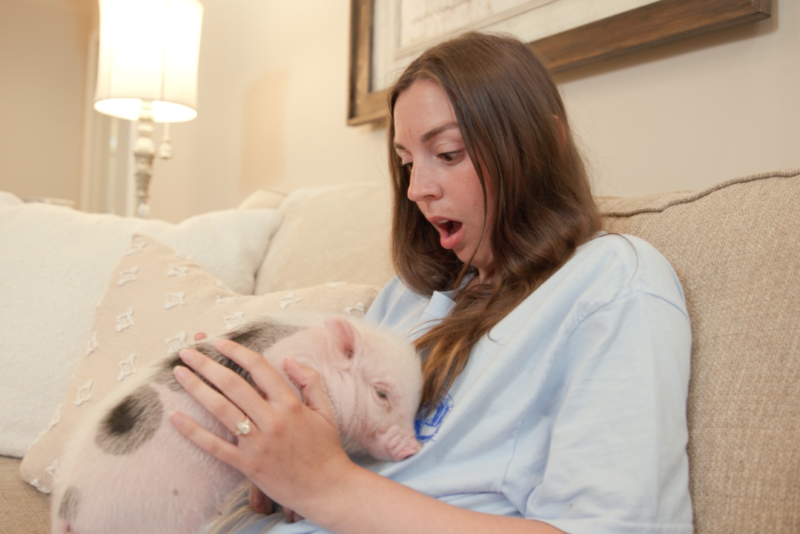 JC Hamm – Pig Ad